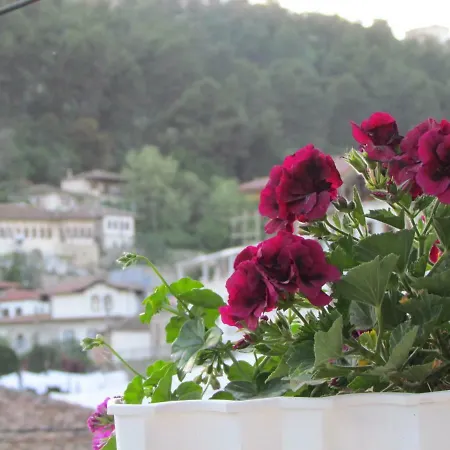 Guest house Koka