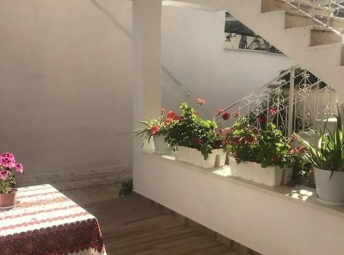 Koka Pensionat Berat